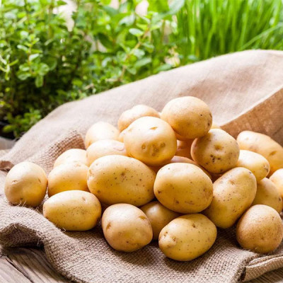 Картофель белый
