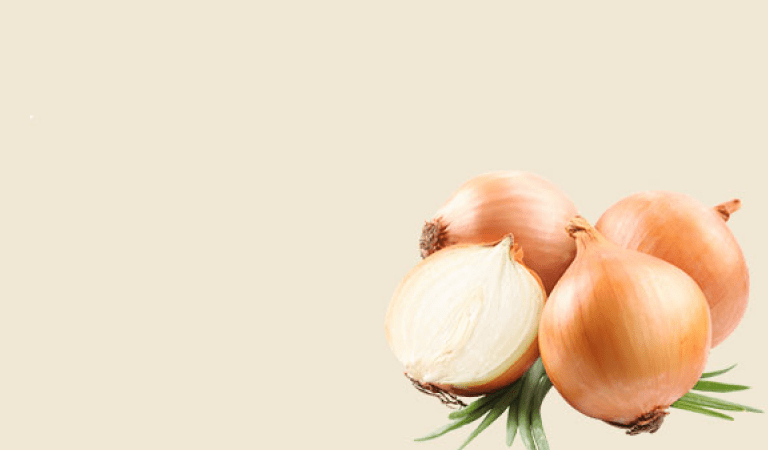 Свежесть каждый день с нашими продуктами